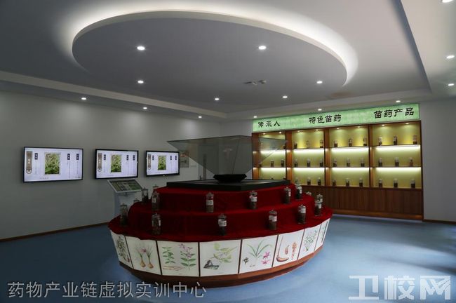 贵阳市卫生学校(贵阳护理学院中专部)-药物产业链虚拟实训中心