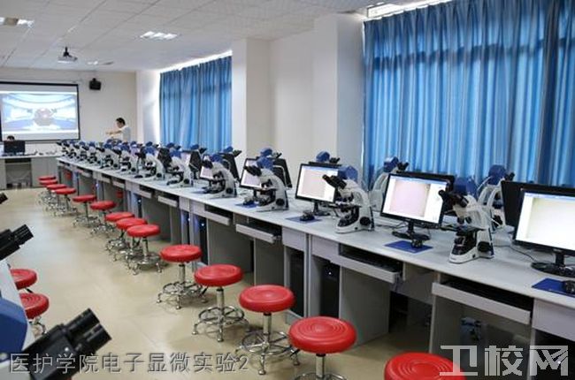 贵州城市职业学院-医护学院电子显微实验2