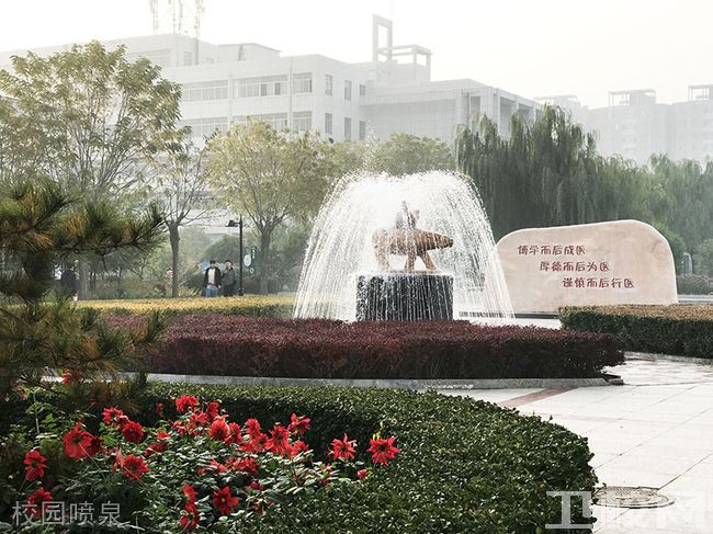 晋中市卫生学校-校园喷泉