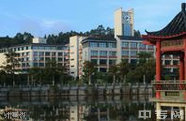 惠州卫生职业技术学院中职部-环境11