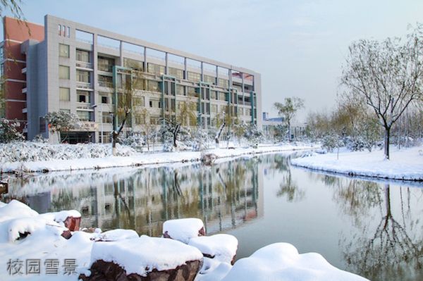 杭州师范大学医学院校园雪景