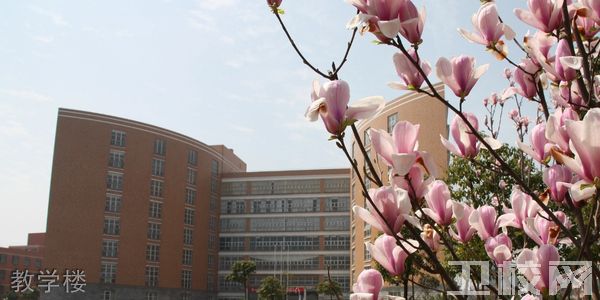 上海东海职业技术学院护理系教学楼